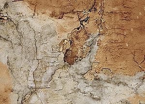 Blistering or peeling interior or exterior paint