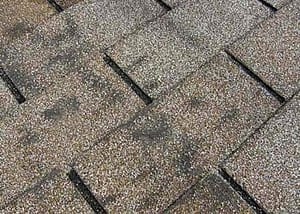 Dark spots on your roof could indicate vegetation, mold, or algae growth, or the loss of protective granules on shingles.